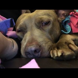 Meet your Posher, Maggie